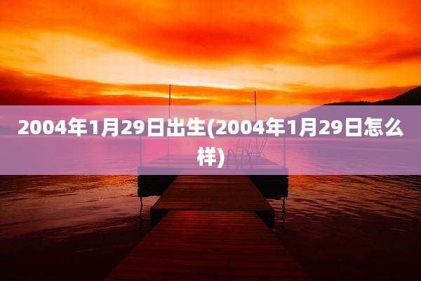 2004年1月29日出生(2004年1月29日怎么样)