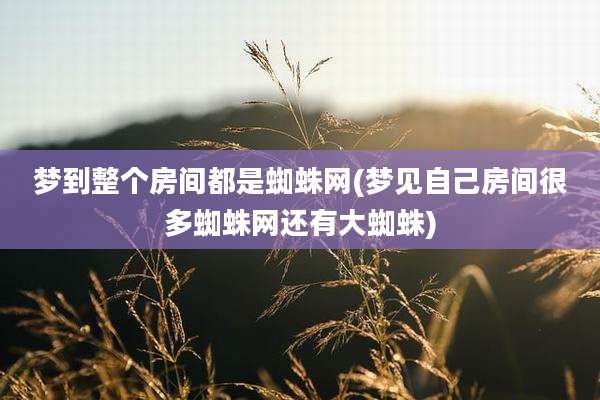 梦到整个房间都是蜘蛛网(梦见自己房间很多蜘蛛网还有大蜘蛛)