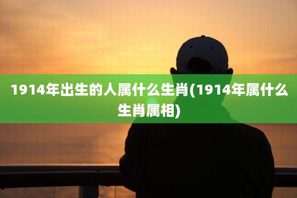 1914年出生的人属什么生肖(1914年属什么生肖属相)