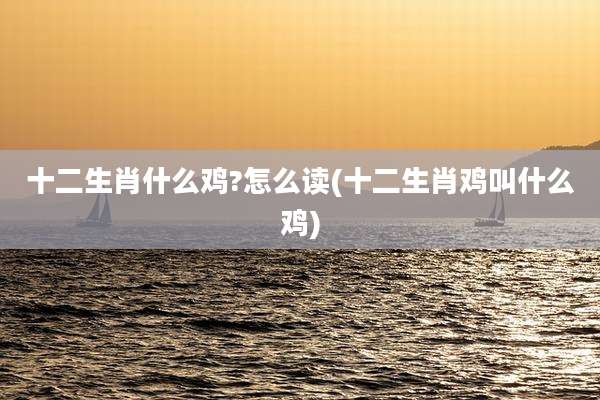 十二生肖什么鸡?怎么读(十二生肖鸡叫什么鸡)