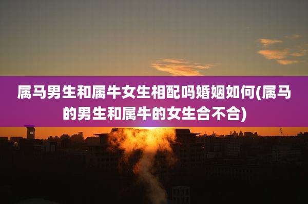 属马男生和属牛女生相配吗婚姻如何(属马的男生和属牛的女生合不合)