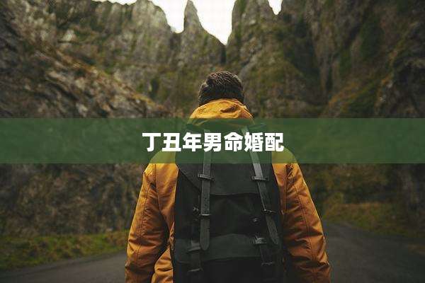 丁丑年男命婚配