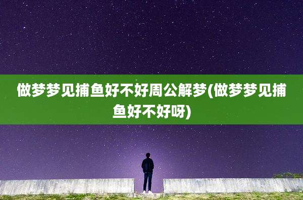 做梦梦见捕鱼好不好周公解梦(做梦梦见捕鱼好不好呀)