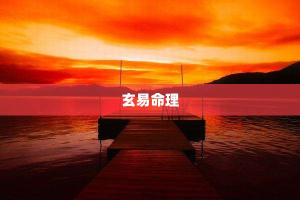 玄易命理
