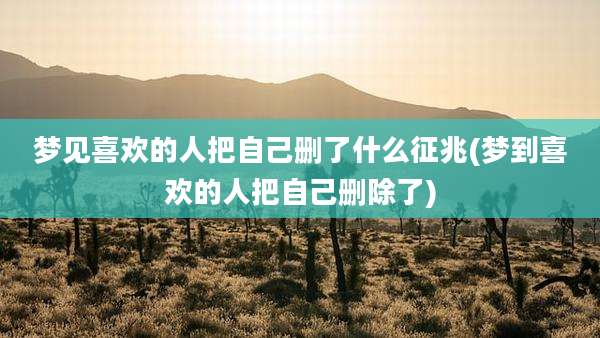 梦见喜欢的人把自己删了什么征兆(梦到喜欢的人把自己删除了)