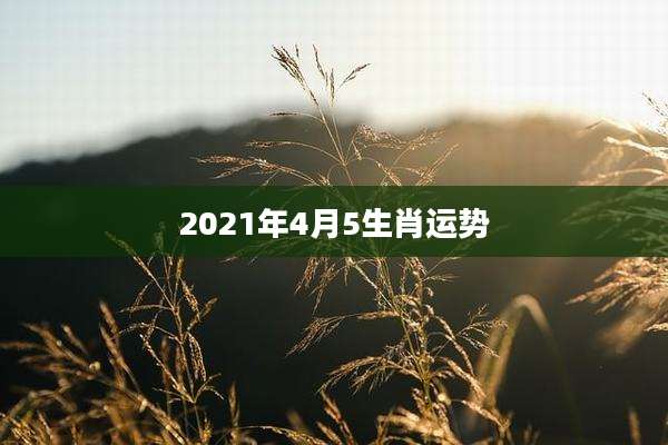 2021年4月5生肖运势