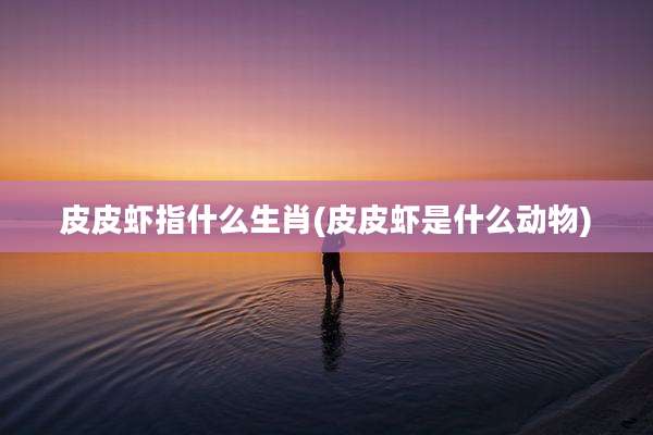 皮皮虾指什么生肖(皮皮虾是什么动物)