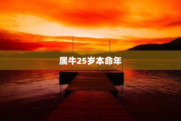 属牛25岁本命年