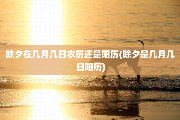 除夕在几月几日农历还是阳历(除夕是几月几日阳历)