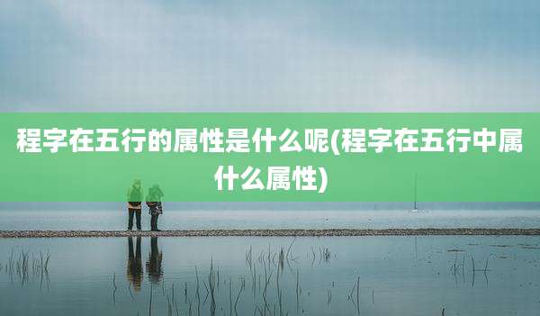 程字在五行的属性是什么呢(程字在五行中属什么属性)
