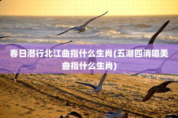 春日潜行北江曲指什么生肖(五湖四消唱美曲指什么生肖)