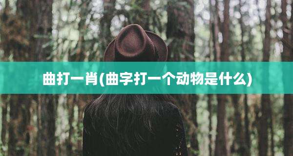 曲打一肖(曲字打一个动物是什么)
