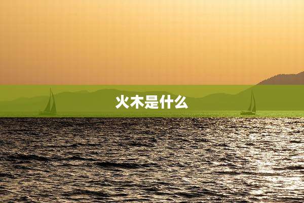 火木是什么