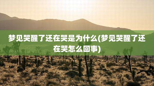 梦见哭醒了还在哭是为什么(梦见哭醒了还在哭怎么回事)
