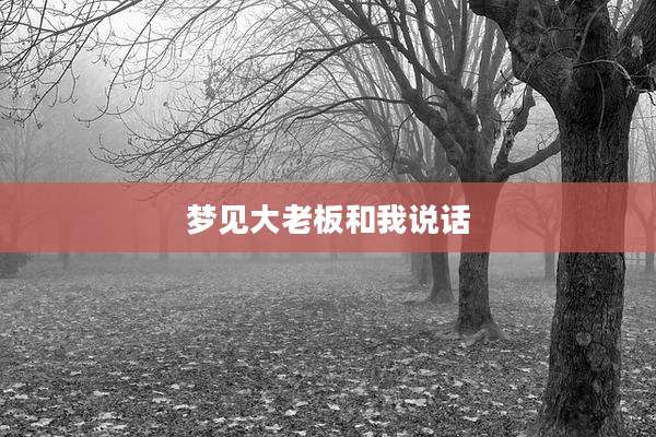 梦见大老板和我说话