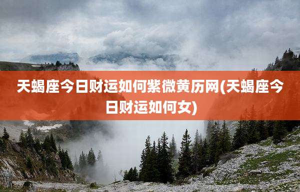 天蝎座今日财运如何紫微黄历网(天蝎座今日财运如何女)