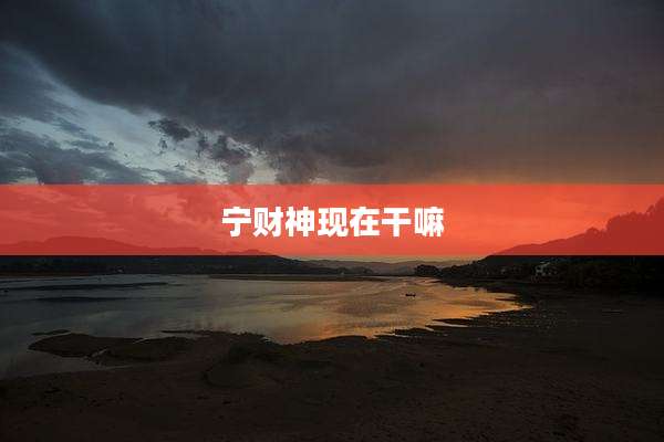 宁财神现在干嘛