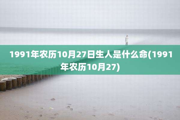 1991年农历10月27日生人是什么命(1991年农历10月27)