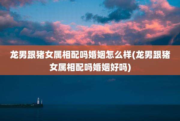 龙男跟猪女属相配吗婚姻怎么样(龙男跟猪女属相配吗婚姻好吗)