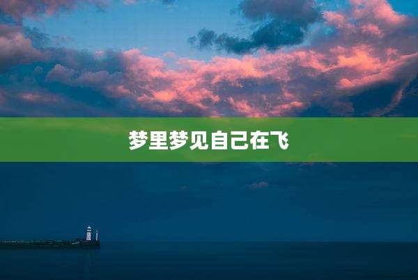 梦里梦见自己在飞
