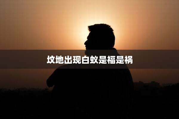 坟地出现白蚁是福是祸