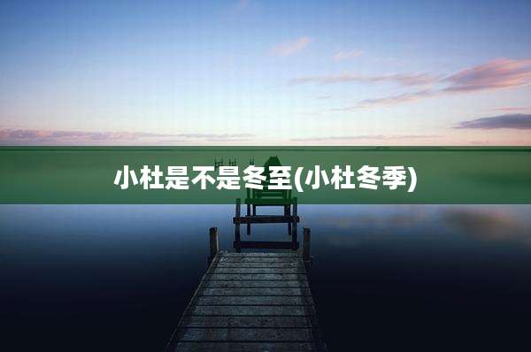 小杜是不是冬至(小杜冬季)