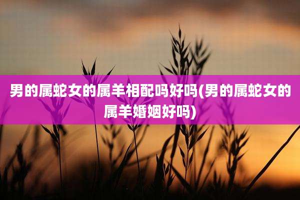 男的属蛇女的属羊相配吗好吗(男的属蛇女的属羊婚姻好吗)
