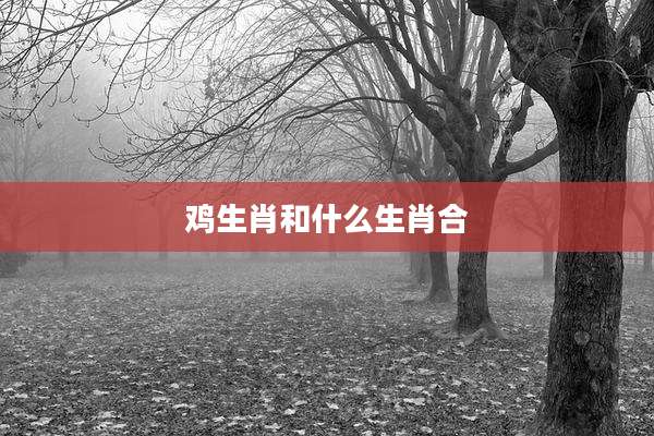 鸡生肖和什么生肖合