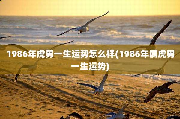1986年虎男一生运势怎么样(1986年属虎男一生运势)