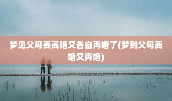 梦见父母要离婚又各自再婚了(梦到父母离婚又再婚)