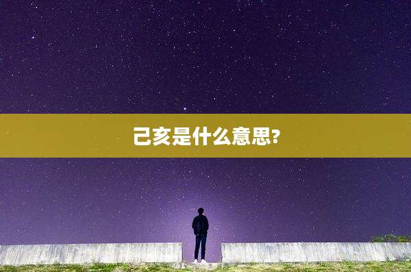 己亥是什么意思?