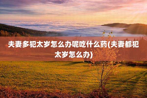 夫妻多犯太岁怎么办呢吃什么药(夫妻都犯太岁怎么办)