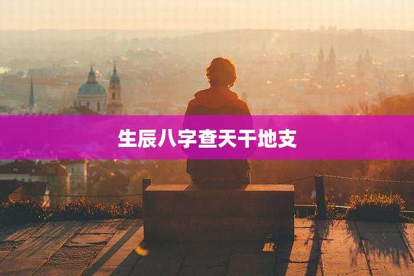 生辰八字查天干地支