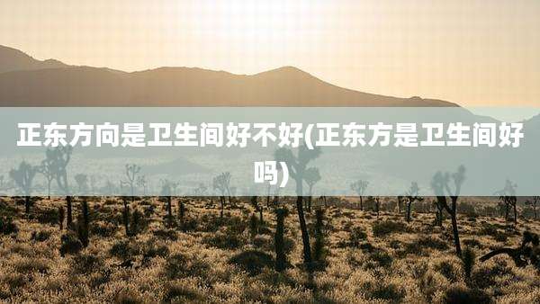 正东方向是卫生间好不好(正东方是卫生间好吗)