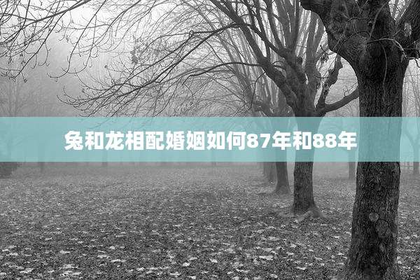 兔和龙相配婚姻如何87年和88年