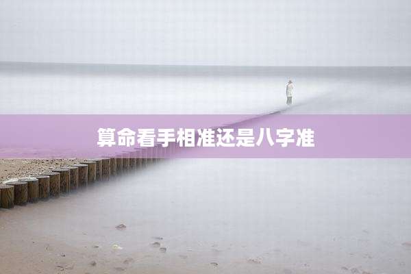 算命看手相准还是八字准