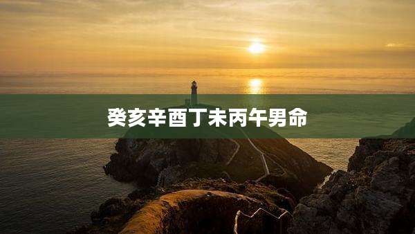 癸亥辛酉丁未丙午男命