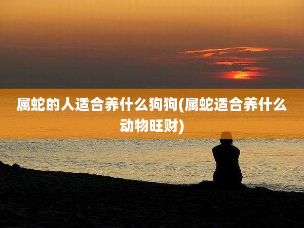 属蛇的人适合养什么狗狗(属蛇适合养什么动物旺财)
