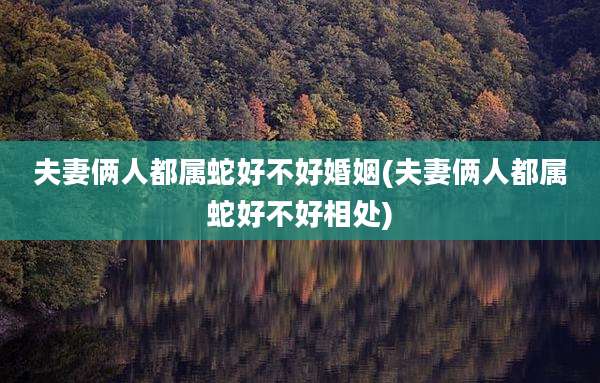 夫妻俩人都属蛇好不好婚姻(夫妻俩人都属蛇好不好相处)