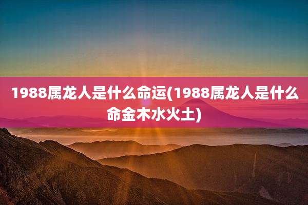 1988属龙人是什么命运(1988属龙人是什么命金木水火土)
