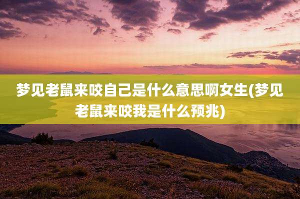 梦见老鼠来咬自己是什么意思啊女生(梦见老鼠来咬我是什么预兆)