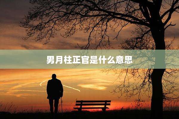 男月柱正官是什么意思