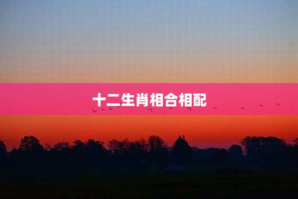 十二生肖相合相配