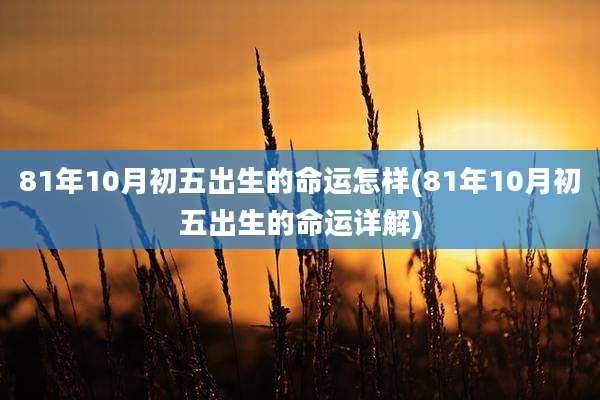 81年10月初五出生的命运怎样(81年10月初五出生的命运详解)