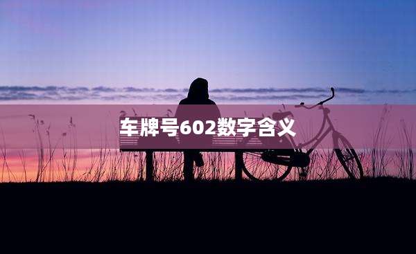 车牌号602数字含义