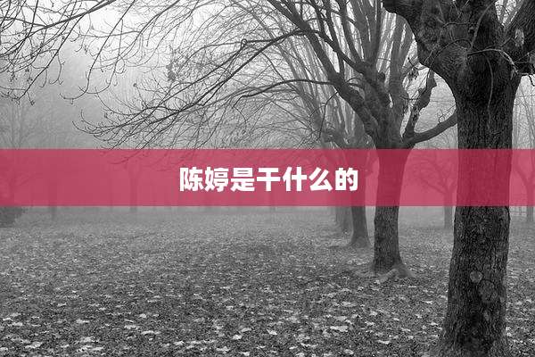 陈婷是干什么的