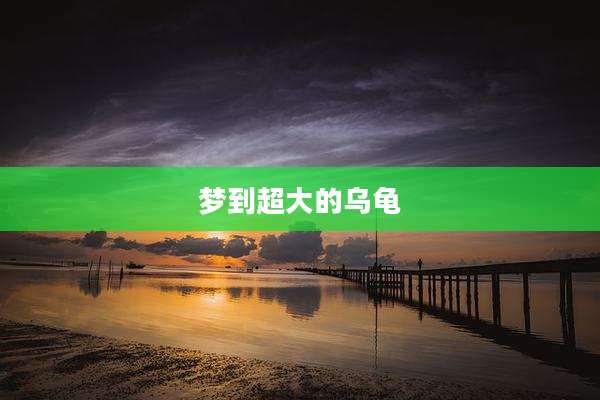 梦到超大的乌龟