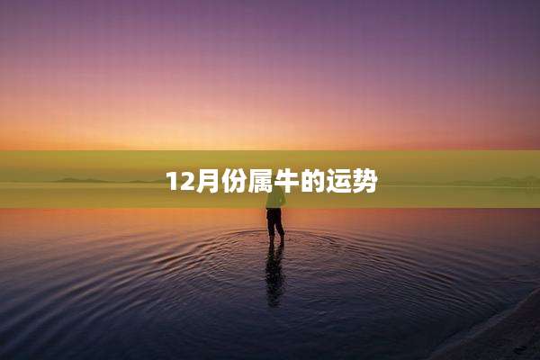 12月份属牛的运势