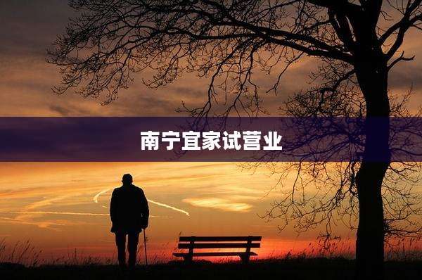 南宁宜家试营业
