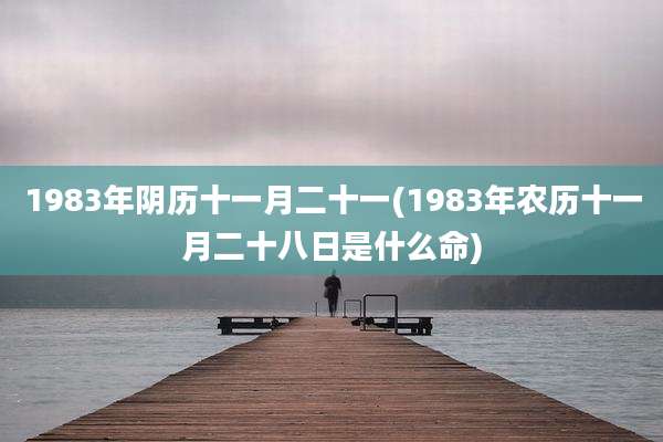 1983年阴历十一月二十一(1983年农历十一月二十八日是什么命)